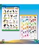 Early Learning Educational Wall Charts for Kids Preschool Nursery & Homeschool Learning Posters, Birds Chart and Colours Chart for Classroom & Home Ages 2 to 10-English