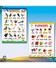 Early Learning Educational Wall Charts for Kids Preschool Nursery & Homeschool Learning Posters, Birds Chart and Flowers Chart for Classroom & Home Ages 2 to 10-English