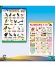 Early Learning Educational Wall Charts for Kids Preschool Nursery & Homeschool Learning Posters, Birds Chart and Numbers 1 to 20 Chart for Classroom & Home Ages 2 to 10-English