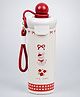 Little Surprise Box Cute Rabbit Stainless Steel Tumbler Water Bottle for Kids & Adults, Red Ball Lid Series, 650ml-Red