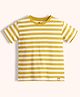Orange Sugar 100% Cotton Knit Half Sleeves Striped Tee - Yellow