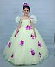 Li&Li BOUTIQUE Net Woven Half Ruffle Sleeves Floral Applique Detailed Gown - Pastel Green