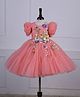 Li&Li BOUTIQUE Net Woven Half Puffed Sleeves Floral Applique Detailed Dress - Blush Peach