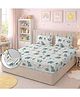 Morado Premium Glace Cotton Elastic Fitted Double Bedsheet with 2 Pillow Covers , 72x78x8 Inches , Ultra Soft & Breathable Fabric , Secure All-Around Elastic Fit , Cute Baby Elephant Kids Print
