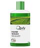 Qssiy Green Apple Liquid Hand Wash, 1kg Refill Bottle, Moisturizing Antibacterial Hand Soap, Family Size, Sensitive Skin, Non-Drying