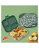 Basil Stainless Steel 4 Compartment Bento Lunch Box with BPA free Plastic Lid for Kids, 800 ml - Emerald Moss