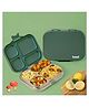 Basil Stainless Steel 4 Compartment Bento Lunch Box with BPA free Plastic Lid for Kids, 800 ml - Wild Wood