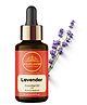 Wildflower Essentials 100% Pure & Natural Lavender Essential Oil for Skin Hair Body Sleep Diffuser Undiluted 15ml