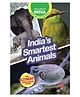 India's Smartest Animals : Easy-To-Read Animal Books For Children, paperback, By - Wild About India, Indian pitta kids - English