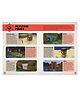 All New Official Minecraft Redstone Handbook Hardback by Mojang AB - English