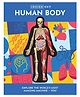 Inside Out Human Body, Paperback, By Luann Columbo - English