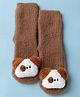 Cute Walk by Babyhug Knit Mid Calf Length Woolen Socks With Puppy Applique - Brown