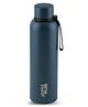 Jaypee Plus Beetle 900 Stainless Steel Double Wall Thermosteel 850 ml Water Bottle ISI Certified Vacuum Insulated 24 hr Hot and Cold Water Bottle Anti Skid Leakproof Bottle Office,Trekking,Dark Blue