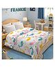 Morado Premium Glace Cotton Reversible Double Bed Comforter 90x100 Inches , Ultra Soft, Lightweight & Breathable , 150 GSM Cozy All-Season Bedding Comforter, Ocean Fish