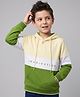Pine Kids 100% Cotton Knit Hooded Sweatshirt with Full Sleeves and Imagination Text Print - Olive Green