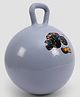 Hot Wheels 18 Inch Hopper Ball- Monstred Hot Wheels Truck-Grey