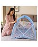 Babytoons Baby Play Gym with Mosquito Net and Hanging Toys 0-6 Months - Blue