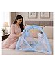 Babytoons Baby Play Gym with Mosquito Net and Hanging Toys 0-6 Months - Blue