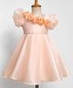 Babyhug Organza Woven Half Puffed Sleeves One Piece Party Dress With Flower Applique - Peach
