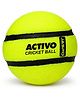 jaspo Activo Air Core Indoor Cricket Ball |PU Material |Hollow Aircore Design |Soft Impact Play | 75g Lightweight |Safe for Indoor Cricket |Non-Toxic Build |Comfortable Grip |Durable & Kids-Friendly