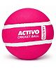 jaspo Activo Air Core Indoor Cricket Ball |PU Material |Hollow Aircore Design |Soft Impact Play | 75g Lightweight |Safe for Indoor Cricket |Non-Toxic Build |Comfortable Grip |Durable & Kids-Friendly