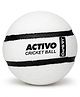 jaspo Activo Air Core Indoor Cricket Ball |PU Material |Hollow Aircore Design |Soft Impact Play | 75g Lightweight |Safe for Indoor Cricket |Non-Toxic Build |Comfortable Grip |Durable & Kids-Friendly