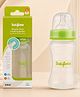 BAYBEE Premium Feeding Bottle for New Born Babies | Anti Colic & Leak Proof Baby Milk Feeding Bottles | BPA Free Milk Bottle for 1 Year Baby Boys & Girls (Green, 250ml)