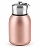 New Pinch PlainMini Stainless Steel Vacuum Insulated Water Bottle, 300ml, Black, Leakproof, Hot and Cold, with Keyring Cap (GOLD)