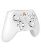 Cosmic Byte Blitz Wireless + Wired Controller for PC, Hall Effect Joystick & Triggers, 1000Hz Polling Rate, Adjustable Vibration, Turbo & Auto Turbo (White)