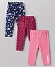 Babyhug Cotton Elastane Knit Slim Fit Ankle Length Leggings with Stretch and Flowers Print Pack of 3 - Pink Navy Blue