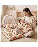 StarAndDaisy Baby Carry Nest Combo Set for 0 to 12 Months Baby Lounger Bedding Nest and Mosquito Net Portable and Foldable Infant Bed Set Soft Mattress with Cushions rainbow Print