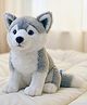 CuddleNest Grey Huskey Soft toy for kids