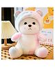 CuddleNest Pastel Rainbow Teddy Bear with Height 28 cm and Removable Hoodie