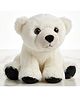 CuddleNest Plush Polar Bear with Height 28 cm Soft Toy - White