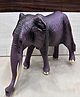 NEGOCIO Realistic Elephant Animal Figure | Wild Animal Toy for Boys & Girls | Durable Plastic Pretend Play Toy | Educational Wildlife Learning Toy- PACK OF 1