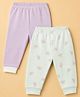 Ben Benny Fleece & Woollen Pant Knit Jogger Fit with Full Length and Butterfly Print Pack of 2 in Purple Beige