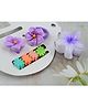 Little Miss Cuttie Set Of 7 Floral Designed Claw Clips - Multi Colour
