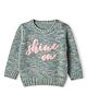 Wingsfield Knit Embroidered Full Sleeves Pullovers with Shine On Patch - Grey