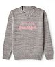 Wingsfield Knit Embroidered Full Sleeves Pullover with You Are Beautiful Embroidery & Sequins - Grey