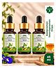 BabyOrgano Swarnaprashan Baalprashan Drops for Kids | Immunity Booster Drops | 24K Gold Swarna Bhasma with Tulsi Honey| Immunity, Brain & Growth Booster | 100% Ayurvedic | 15ml (Pacl of 3)