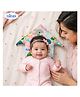 Bubzii Baby Rai Pillow Hut Shape Animal Rai Mustard Seeds Pillow, Baby Head Shaping Pillow cum Neck Support, Portable