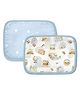 Fancy FLuff Set of 2 Rai Pillow Cover - Globetrotter