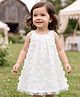 Babyhug Mesh Woven Sleeveless A Line One Piece Dress with Floral Applique - White
