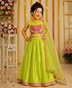 Twisha Woven Sleeveless Butterfly Embroidered & Lace Embellished Lehenga Choli With Dupatta Set - Lime Green