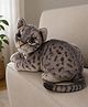 Dukiekooky 25 cm Grey Sleeping cat Soft Toy