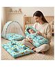 StarAndDaisy Baby Carry Nest Combo Set for 0 to 12 Months Baby Lounger Bedding Nest and Mosquito Net Portable and Foldable Infant Bed Set Soft Mattress with Cushions Aqua Print