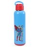 Nayasa Alpine 547ml Stainless Steel Insulated Water Bottle Superman Print