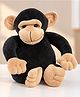 Toytales 30 cm Kong Monkey Stuffed Animal | Soft Plush Toy for Kids - Black and Cream
