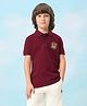 US Polo Assn Cotton Knit Half Sleeves Polo Tshirt with USPA Champions Embroidery - Maroon