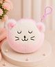 Stol'n Cat Designed & Plush Detailed Coin Purse With Key Chain - Multi Colour